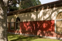 Tree Shadows on Red Brick