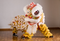 Lion Dance