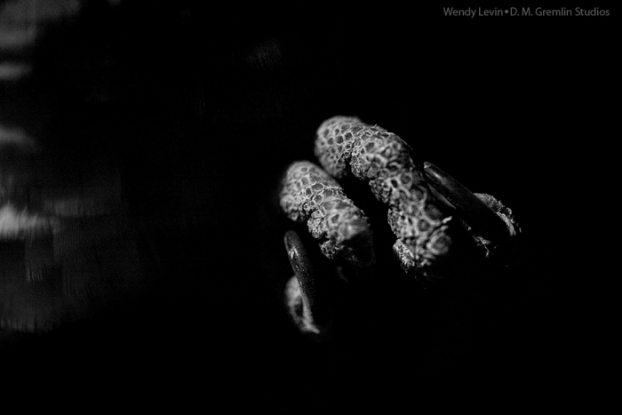 IMG_6974-blackout-1000bw-water.jpg