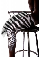 Zebra Modernism