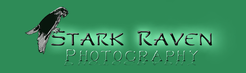 Stark Raven Photography