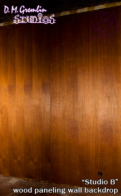 http://www.starkravenmusic.com/images/posts/panelwall250.jpg
